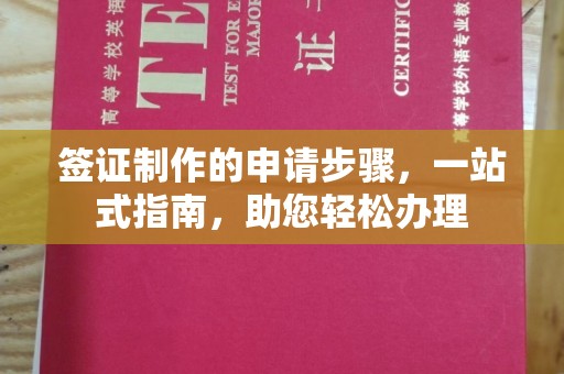 恩阳签证制作的申请步骤，一站式指南，助您轻松办理